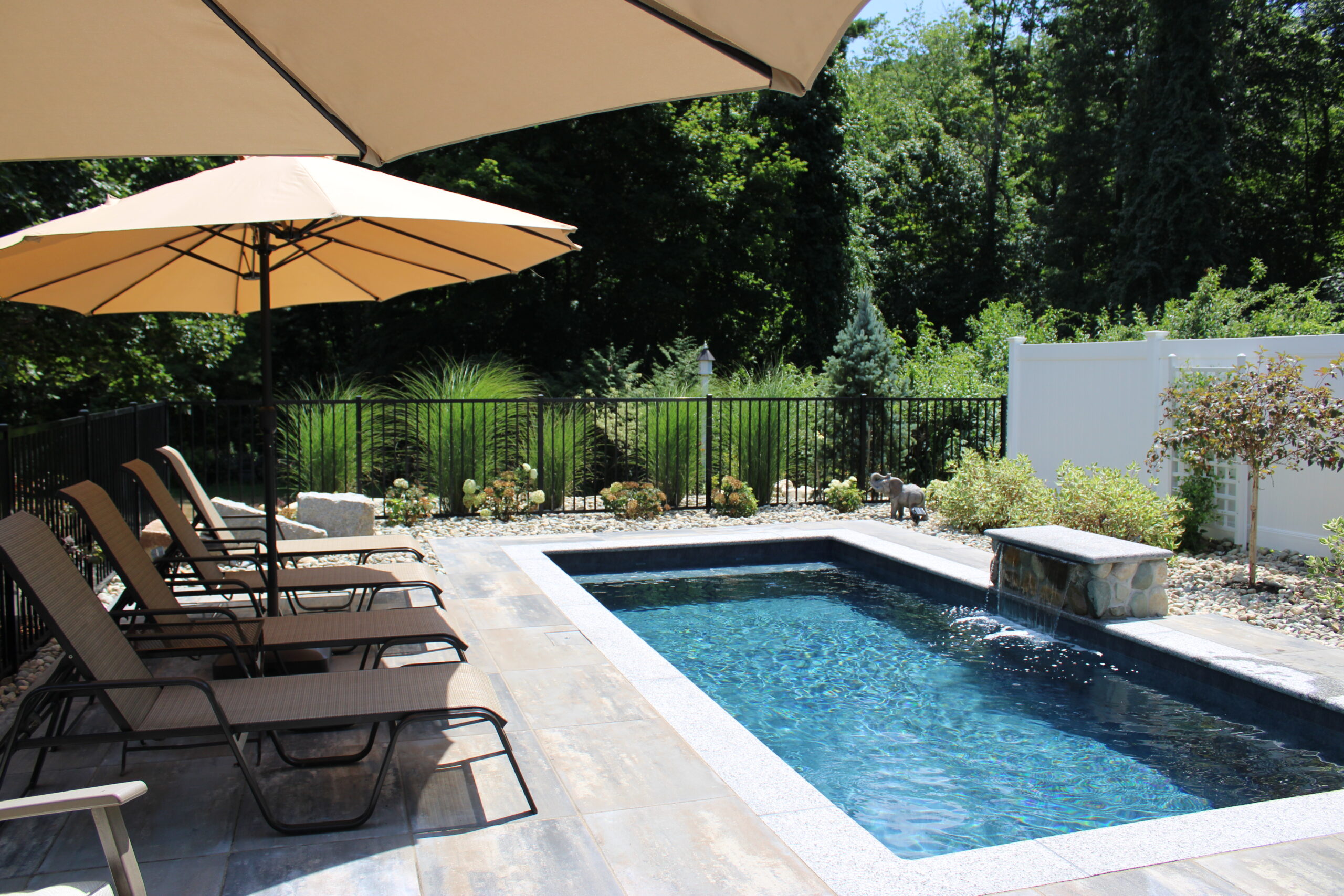The Caroline Plunge Pool
